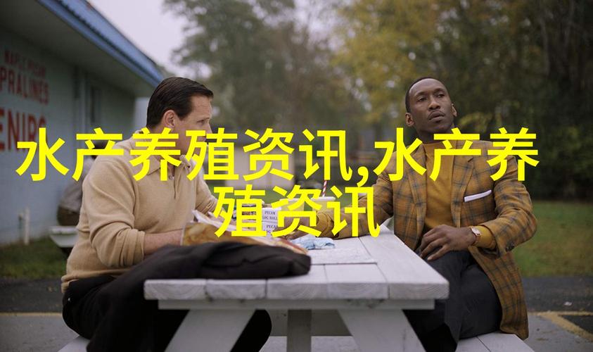 新门内部资料免费提供和央视曝光云养殖骗局与央视曝光云养殖骗局是真的吗