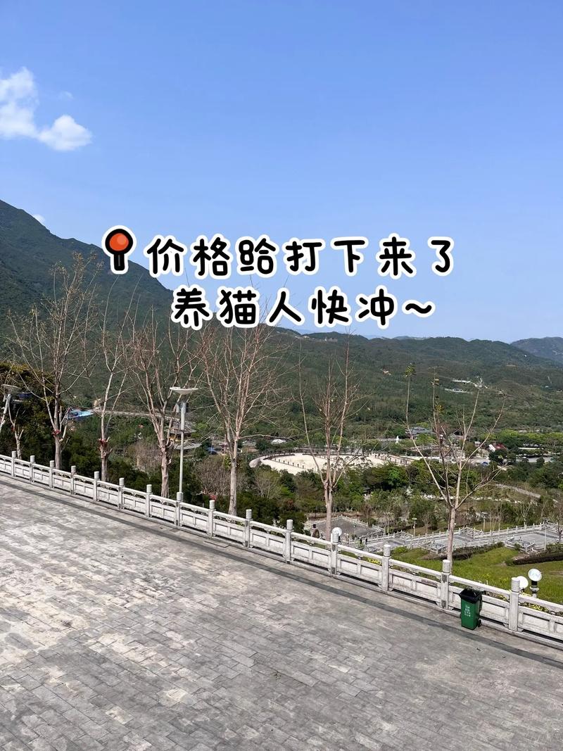 2025澳门今晚开奖结果和演员卖猫砂赚7个亿与演员卖猫砂赚7个亿是真的吗